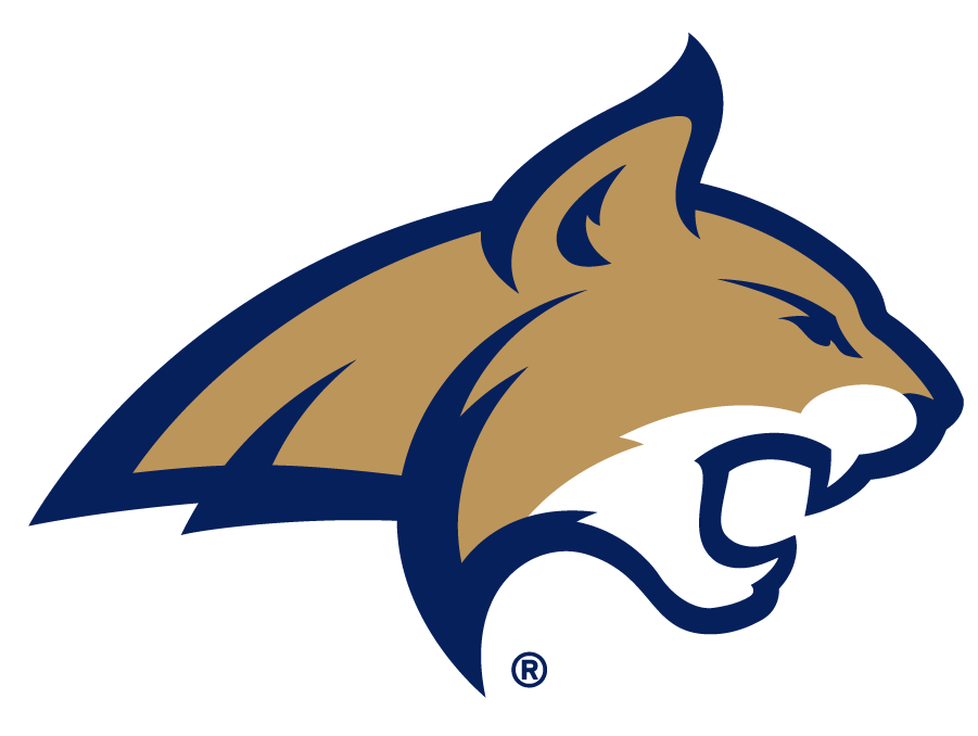 Montana State Bobcats logos iron-ons